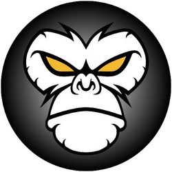 Photo du logo ApeBUSD