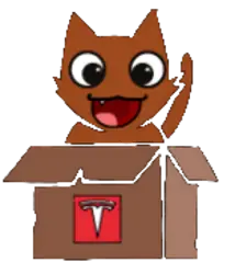 Photo du logo Baby Schrodinger Coin