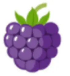 Photo du logo Blackberry Token