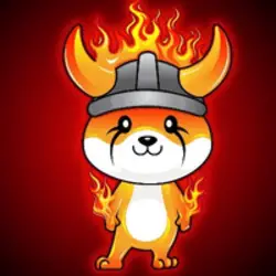 Photo du logo BurnFloki