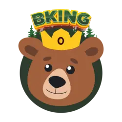 Photo du logo BKING Finance