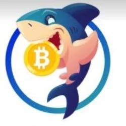 Photo du logo Baby KShark