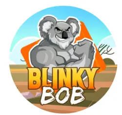 Photo du logo Blinky Bob
