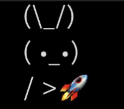 Photo du logo BunnyRocket