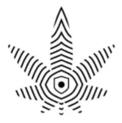 Photo du logo Cannumo
