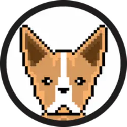 Photo du logo ChihuahuaSol