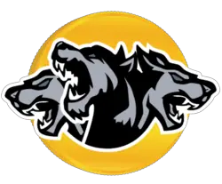 Photo du logo Cerberus