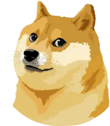 Photo du logo The Doge NFT