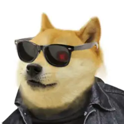 Photo du logo DogeFi