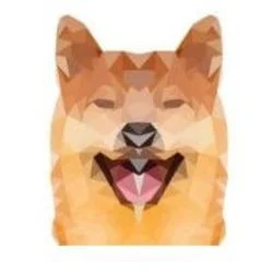 Photo du logo Duke Inu Token