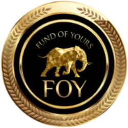 Photo du logo Fund Of Yours