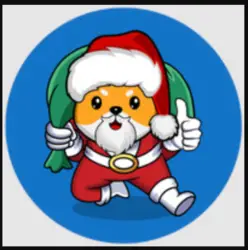 Photo du logo Santa Floki v2.0