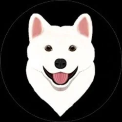 Photo du logo Jejudoge BSC