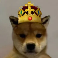 Photo du logo King WIF
