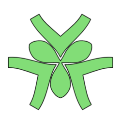 Photo du logo Lung Protocol
