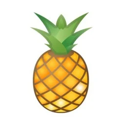 Photo du logo MEMETOON