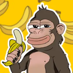 Photo du logo MONKEY