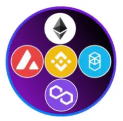 Photo du logo Multiverse Capital