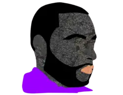 Photo du logo OSINA