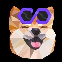 Photo du logo Polygon BabyDoge