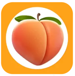 Photo du logo PornRocket