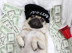 Photo du logo PUG AI