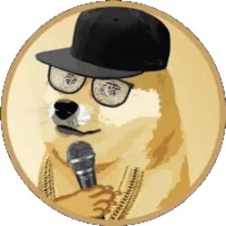 Photo du logo RapDoge