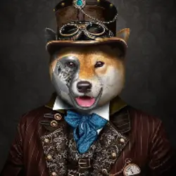 Photo du logo RoboDoge Coin