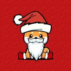 Photo du logo Santa Inu