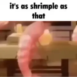 Photo du logo its as shrimple as that