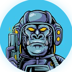 Photo du logo Space Soldier