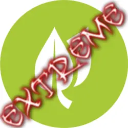 Photo du logo StepEx