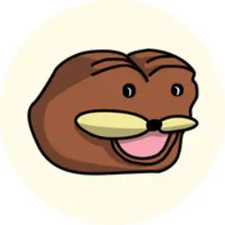 Photo du logo Spurdo
