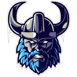 Photo du logo SpaceVikings