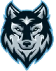 Photo du logo SafeWolf