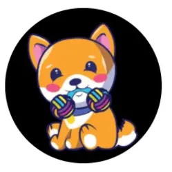 Photo du logo ToyDOGE
