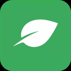 Photo du logo tree
