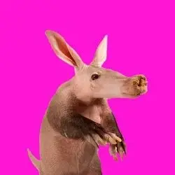 Photo du logo Aardvark