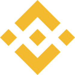 Photo du logo Wrapped BNB