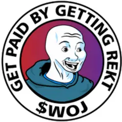 Photo du logo Wojak Finance