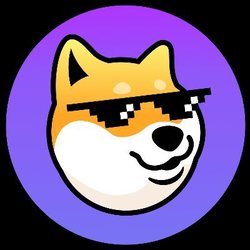 Photo du logo Wrapped WDOGE