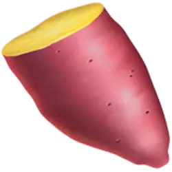 Photo du logo YAM v2